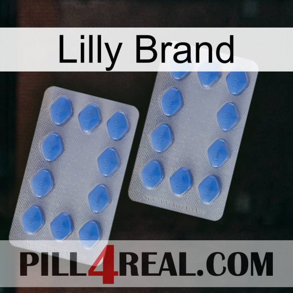 Lilly Brand 20.jpg